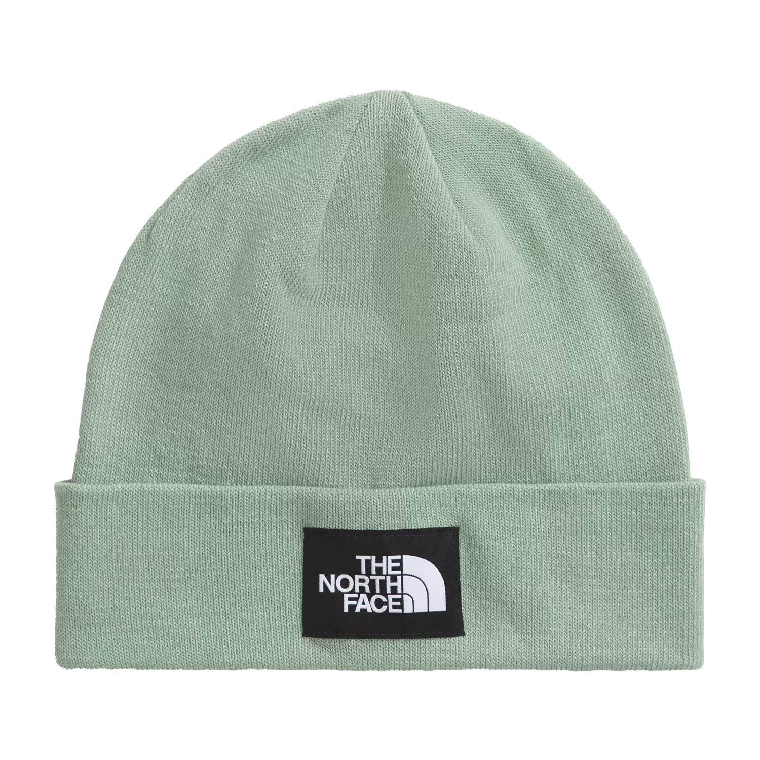 The North Face Unisex Dock Worker Recycled Bea Winter Hats in Green Color