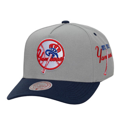 Mitchell And Ness new york yankees Lgndry away Pro Snpbck Fan Apparel in Grey Color