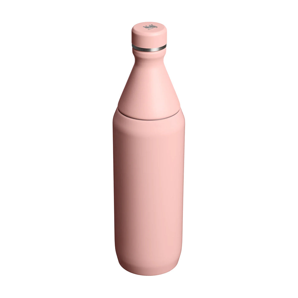 Stanley Cup 20Oz All Day Slim Bottle Water Bottles in Pink Color