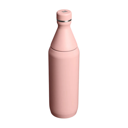 Stanley Cup 20Oz All Day Slim Bottle Water Bottles in Pink Color