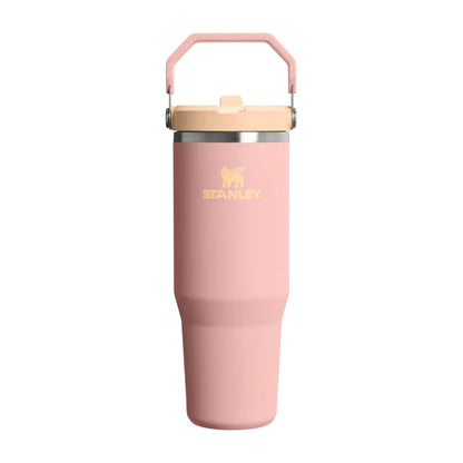 ICEFLOW 2.0 FLPSTR 30OZ | 1781-PEACH