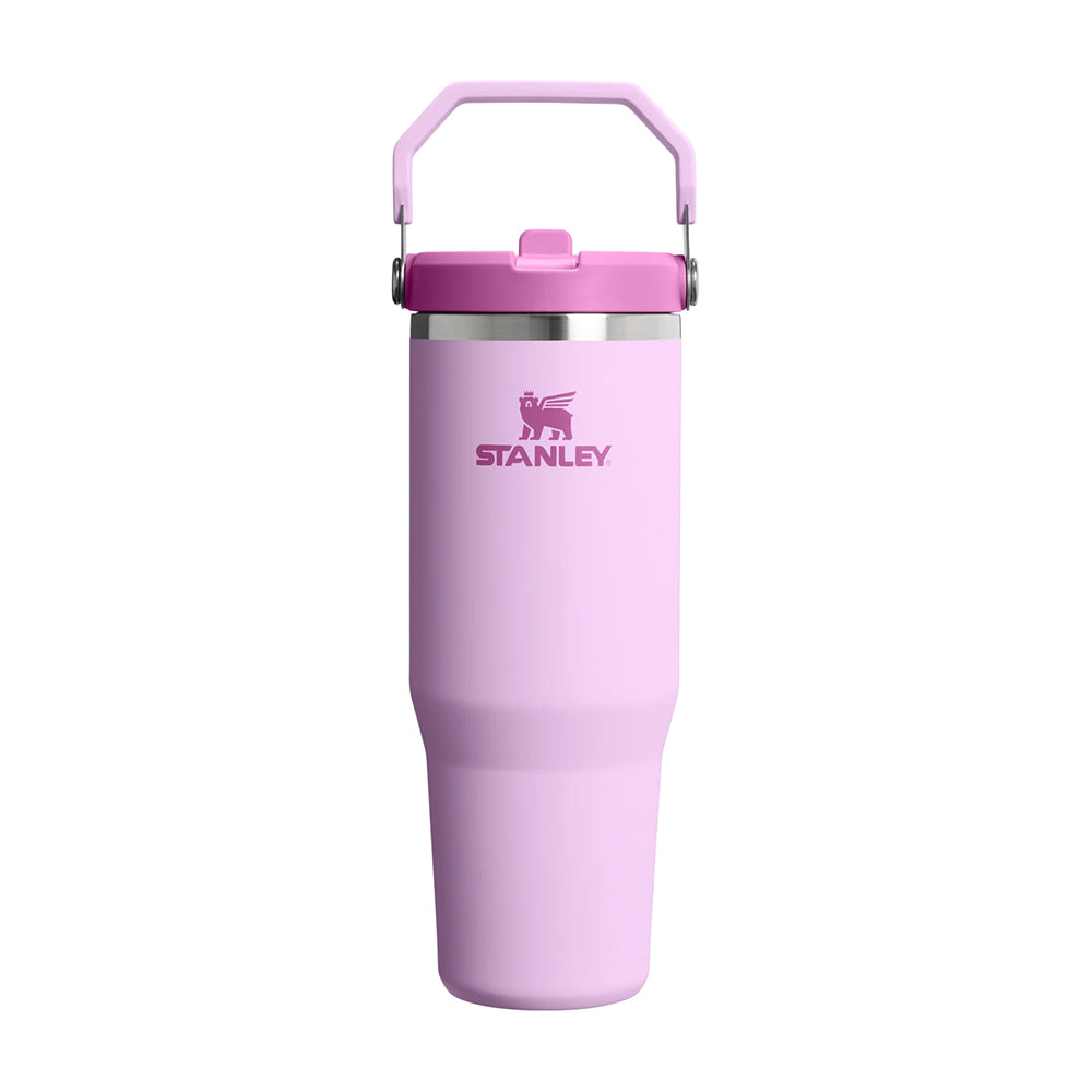 Stanley Cup Iceflow 2.0 flipstraw 30Oz Water Bottles in Purple Color