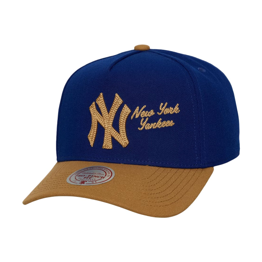 Mitchell And Ness new york yankees Side Scrpt Pro Snpbk Fan Apparel in Blue Color