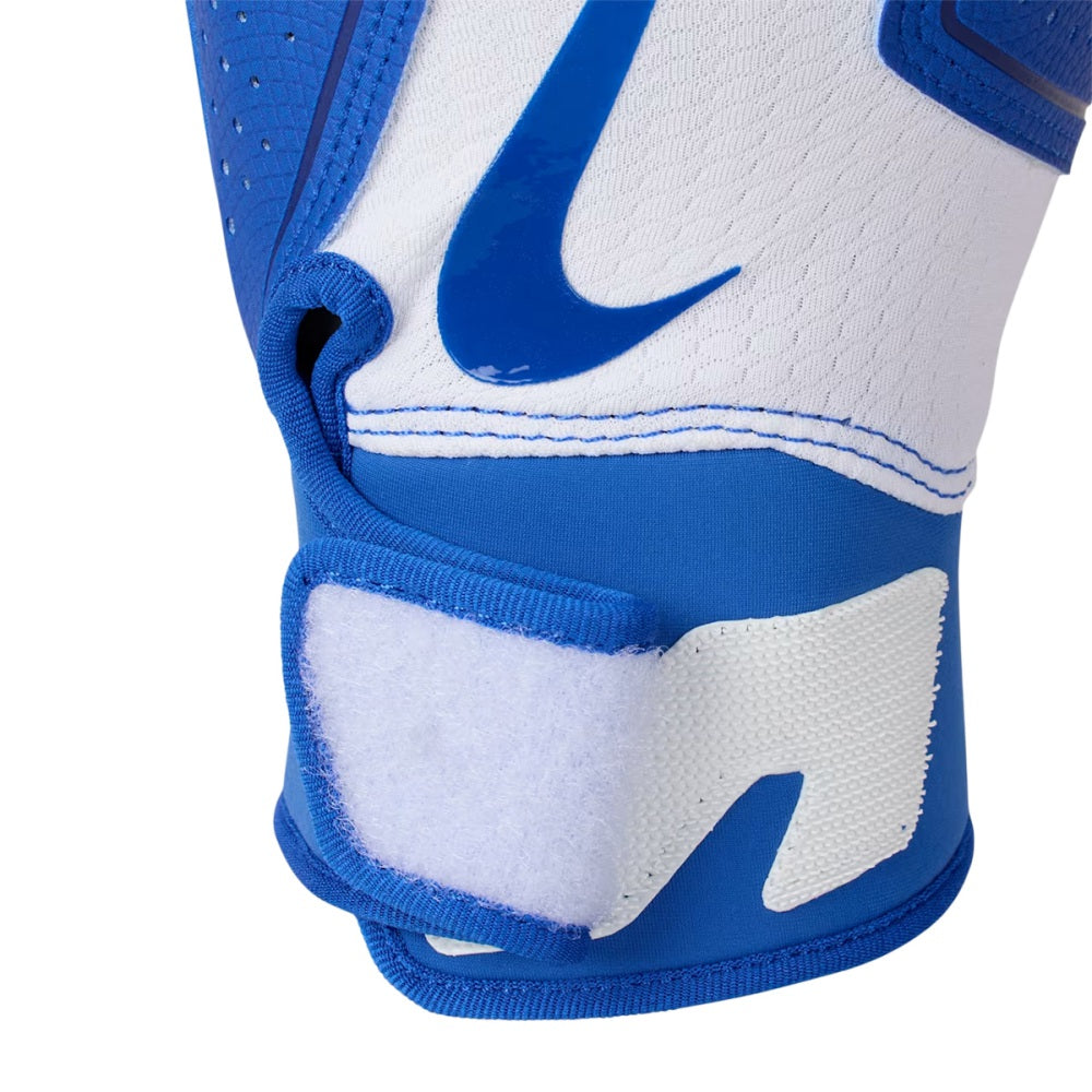 Nike Alpha 2.0 Bg Batting Gloves in White Color