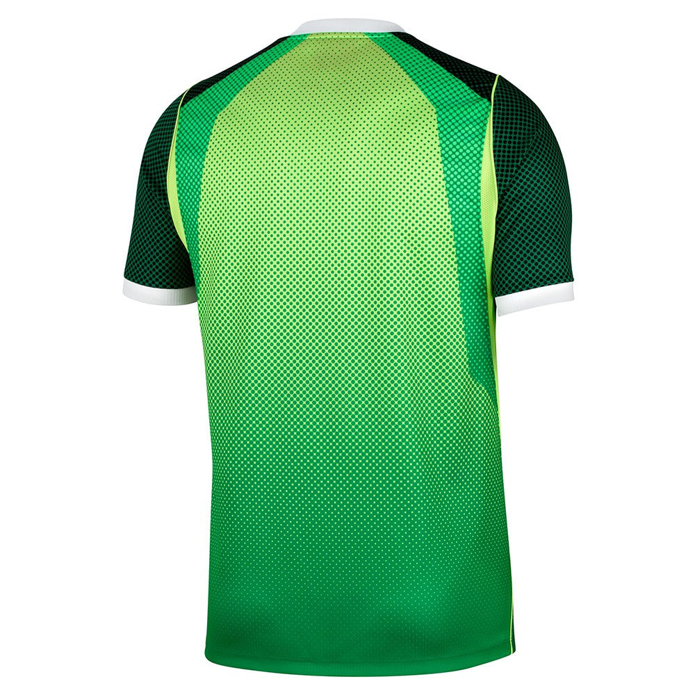 Nike Nigeria 26 Stad home Jersy Fan Apparel in Green Color