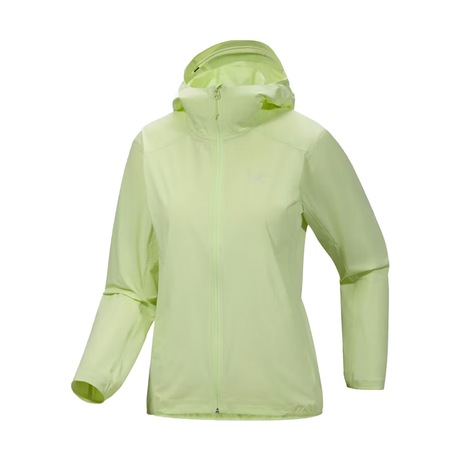 Arc'Teryx Gamma Lightweight Hoody Midlayer in Green Color