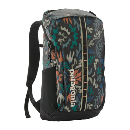 Patagonia Black Hole Pack 25L Bags in Black Color