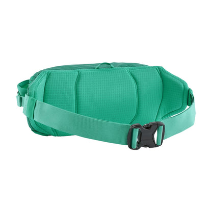 Patagonia Black Hole Waist Pack 5L Bags in Blue Color