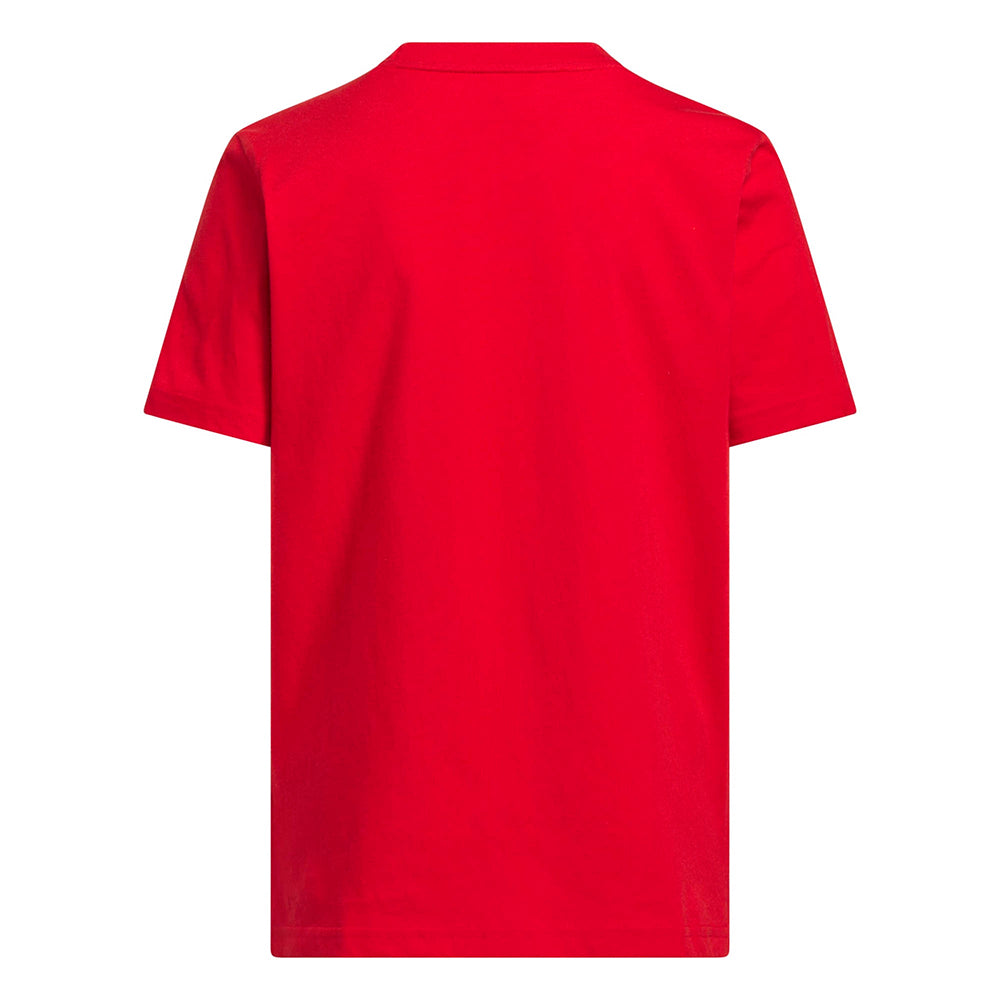Adidas Mexico Hjh Wc26 T Fan Apparel in Red Color