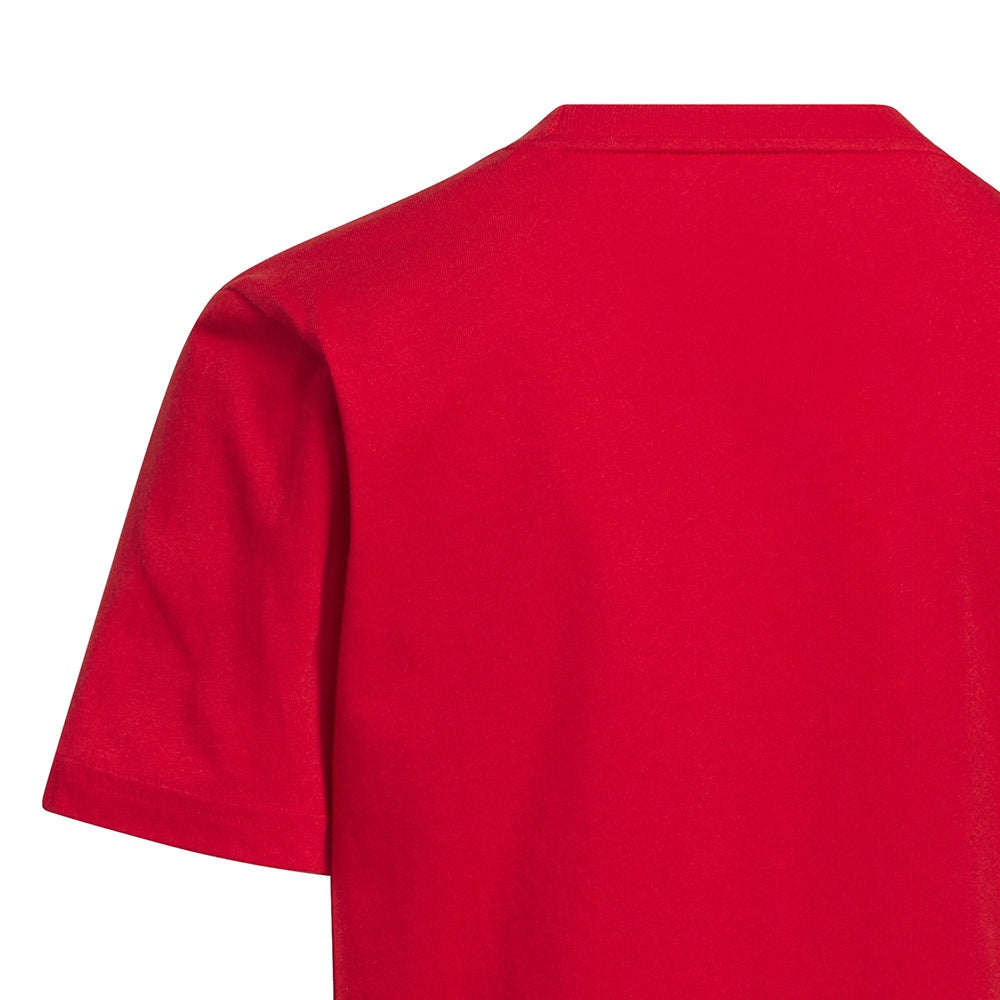 Adidas Mexico Hjh Wc26 T Fan Apparel in Red Color
