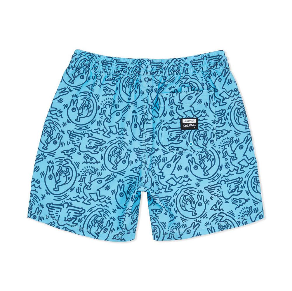 Hurley Kh 17 Cannonball Volly Swimsuits in Blue Color