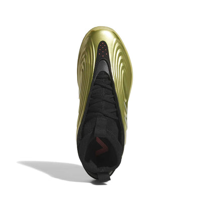 HARDEN VOLUME 10 | GOLDMT/CBL