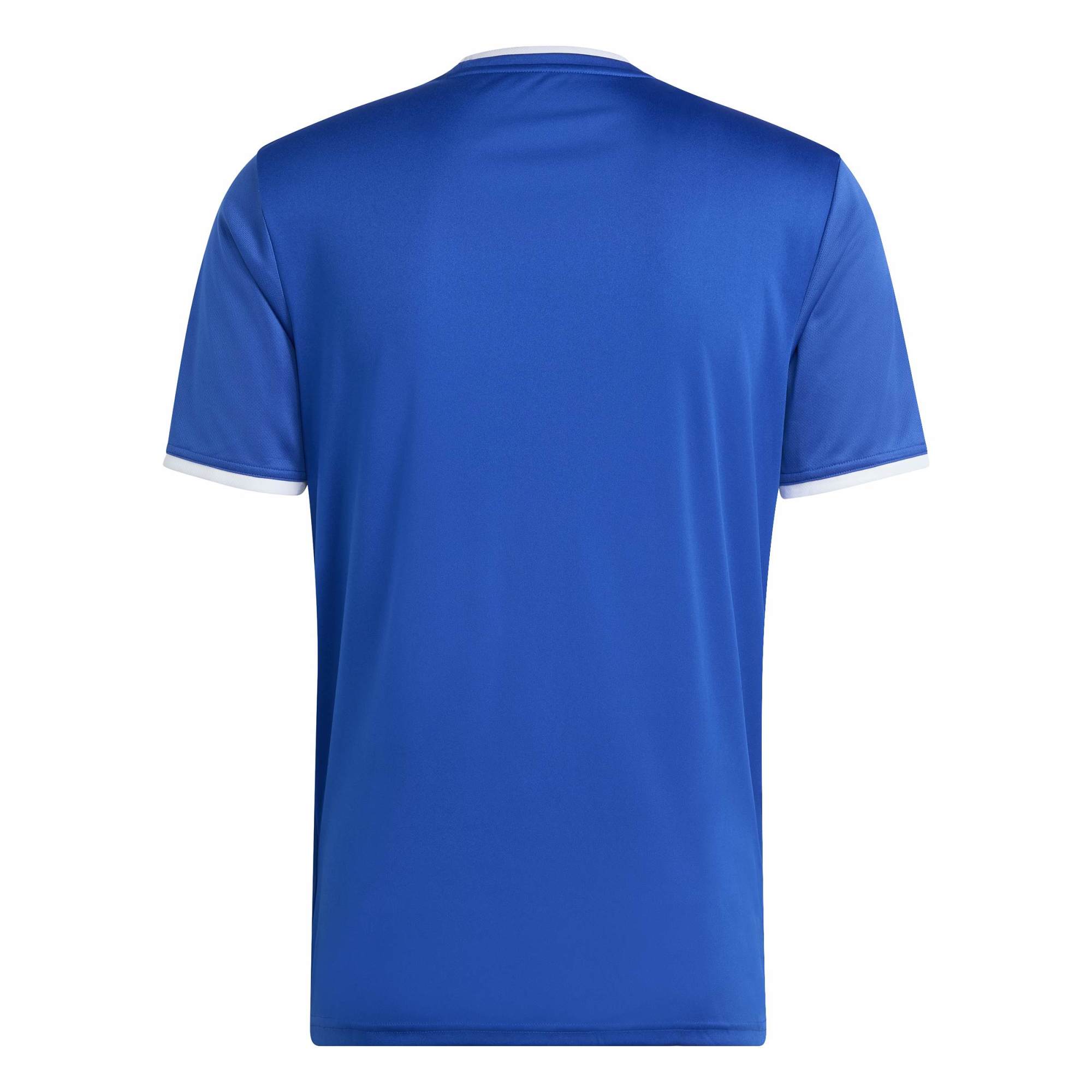Adidas Entrada26 Gfx Jersey Tops in Blue Color