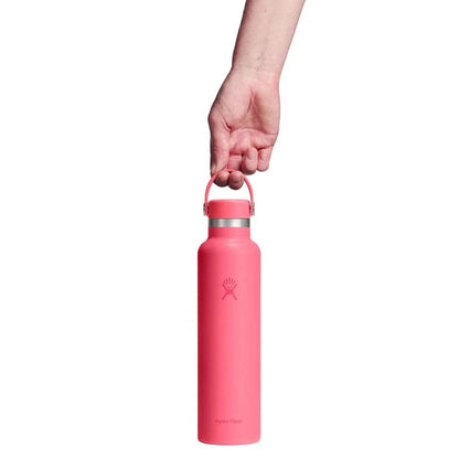 Hydro Flask 24 Oz Standard Mouth Water Bottles in Pink Color