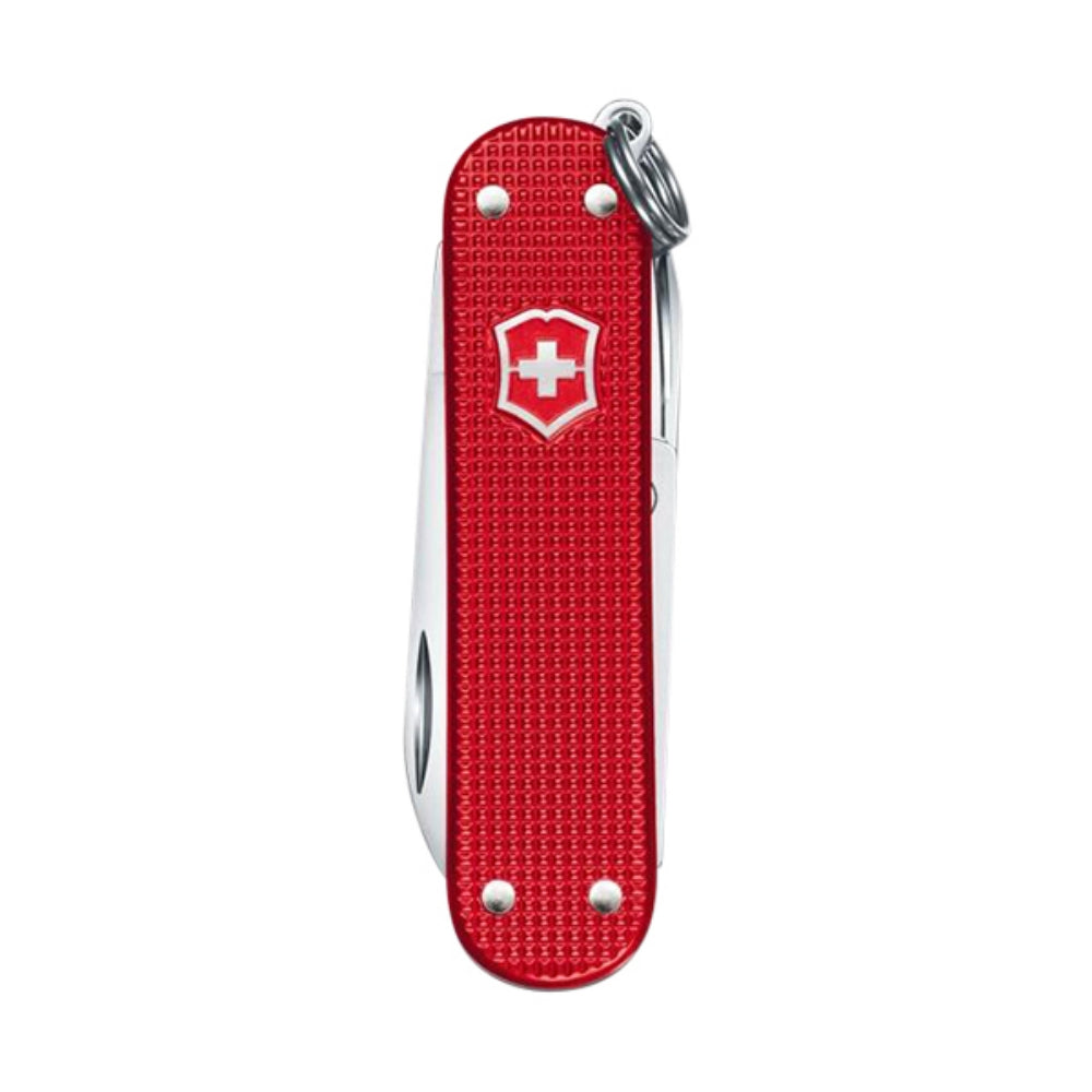 CLASSIC SD ALOX BERRY | BERRY