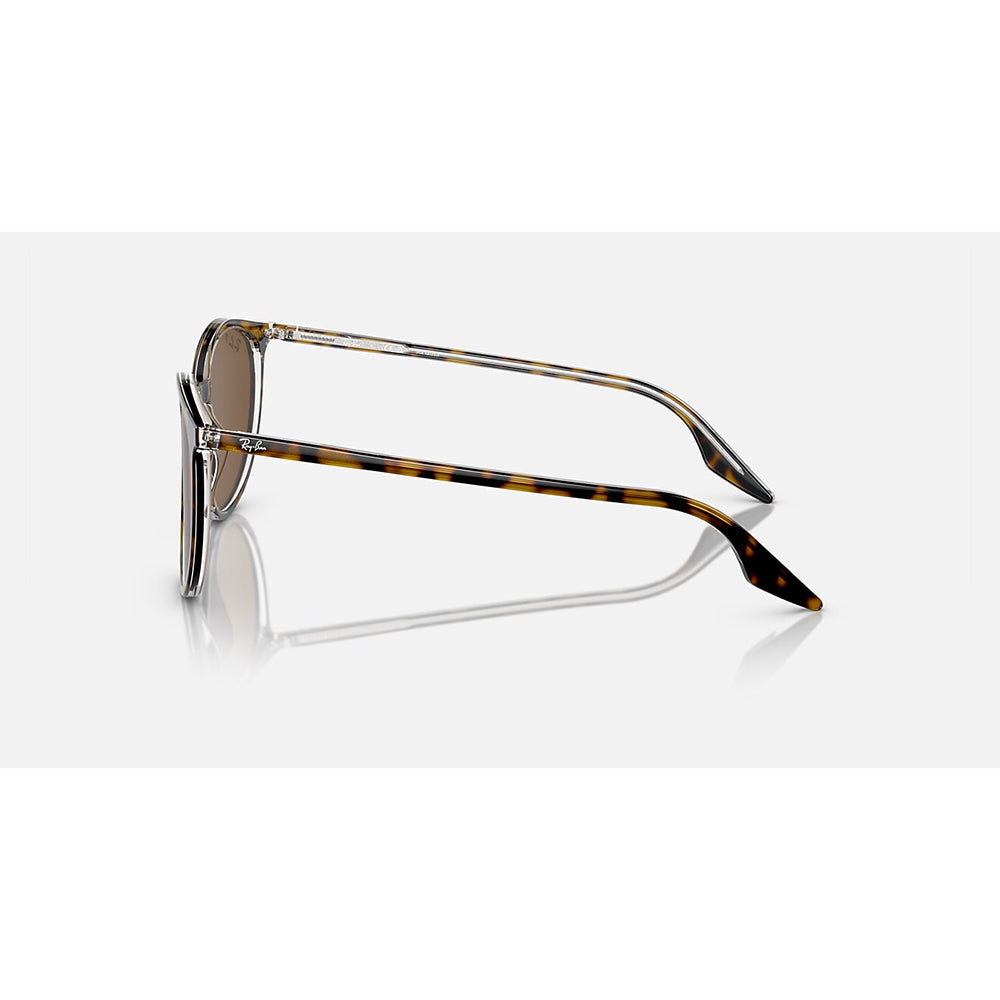 Ray Ban Phantos Havana Brn Polar Accessories in Brown Color