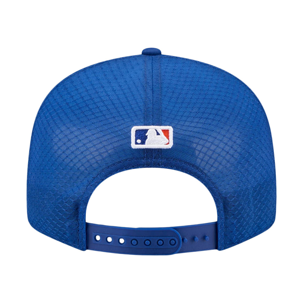 NYM 950FP NY SCRIPT OTC | ROYAL