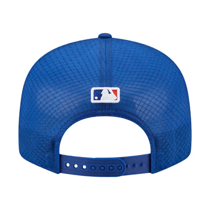 NYM 950FP NY SCRIPT OTC | ROYAL