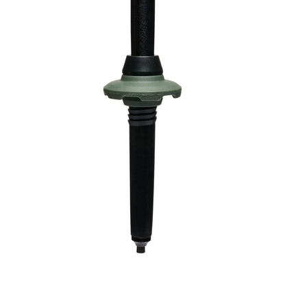 Black Diamond Trail Trekking Poles Hiking Poles in Purple Color