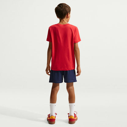 Nike Multi Short in Blue Color
