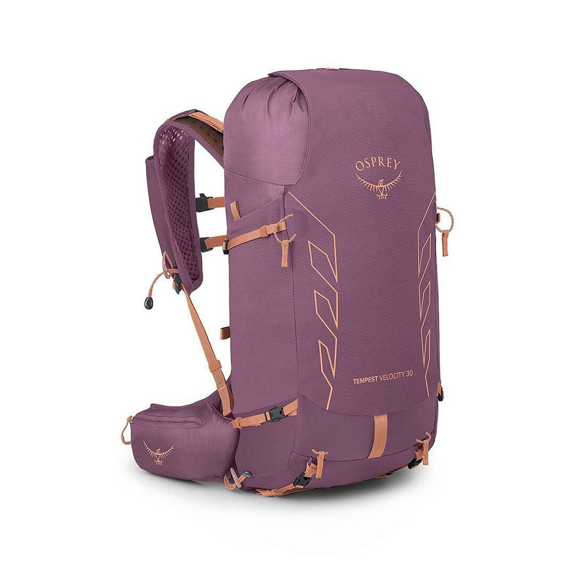 TEMPEST VELOCITY 20 | PASHMINA M