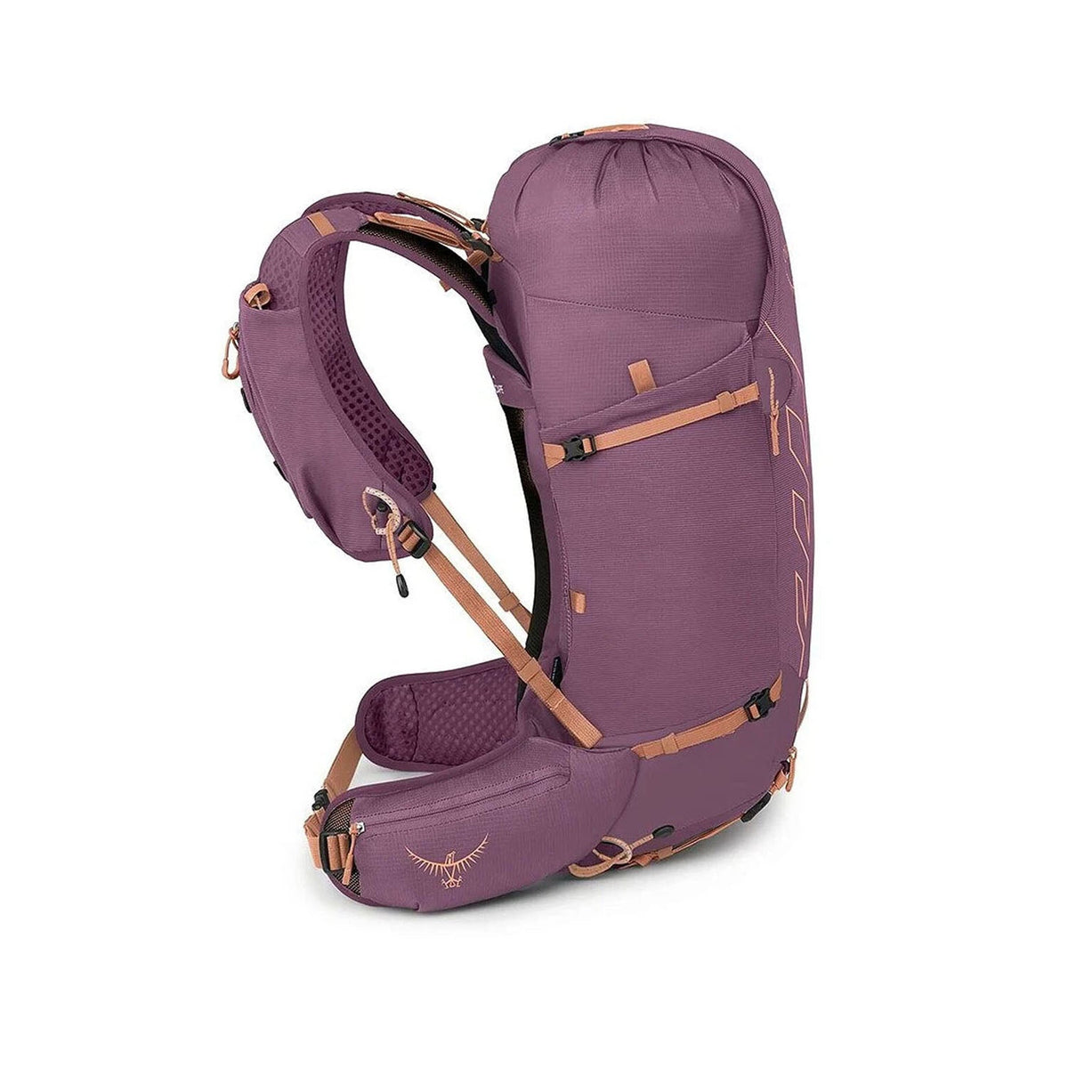 TEMPEST VELOCITY 20 | PASHMINA M