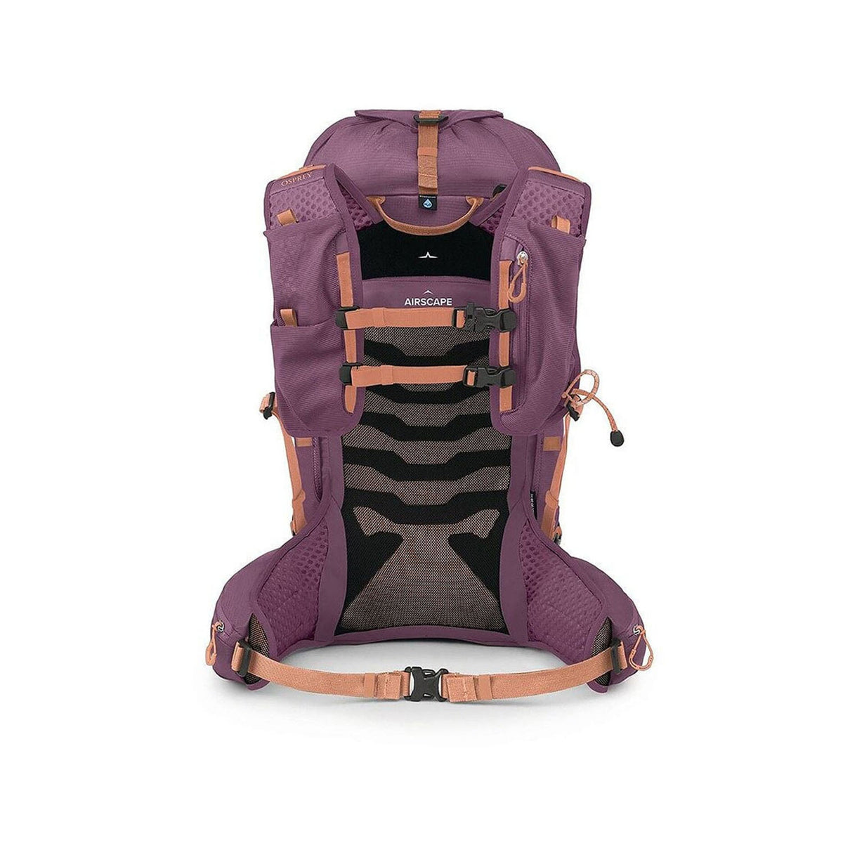TEMPEST VELOCITY 20 | PASHMINA M