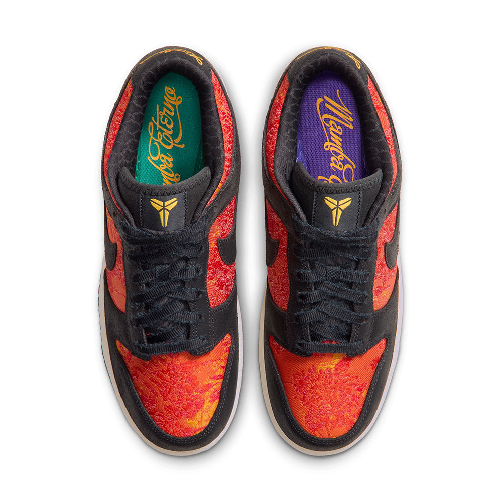 NIKE DUNK LOW PROTRO | 001 ANTHRA