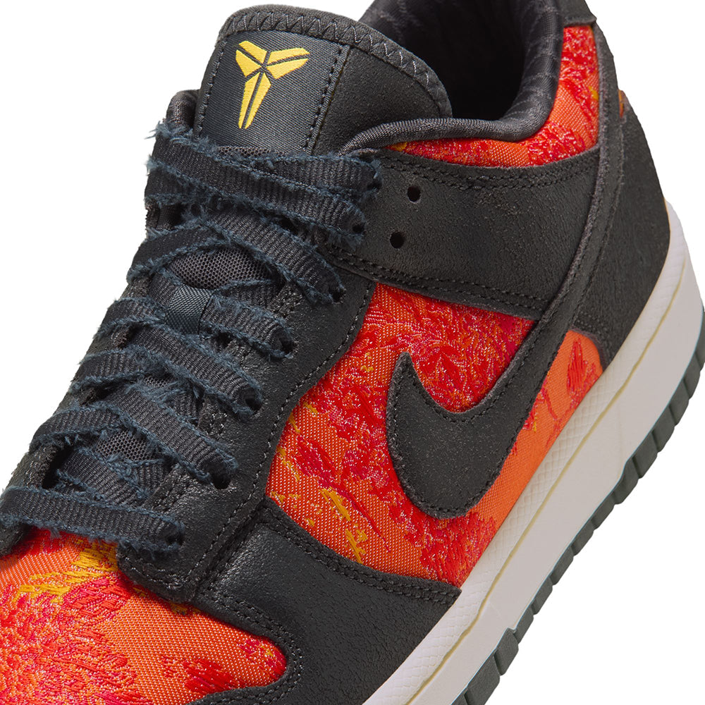 NIKE DUNK LOW PROTRO | 001 ANTHRA