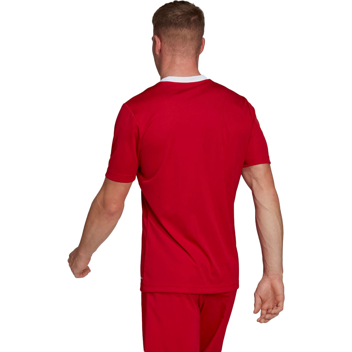 ENTRADA22 JERSEY | TM.PWR RED