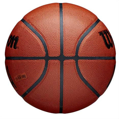 NBA FORGE BASKETBALL | BROWN