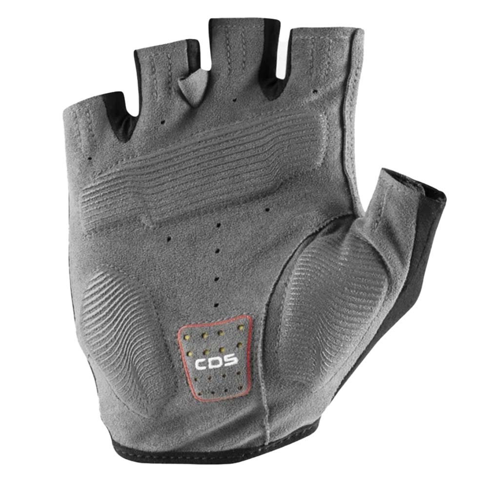 ENTRATA V GLOVE | 424 BELGIA