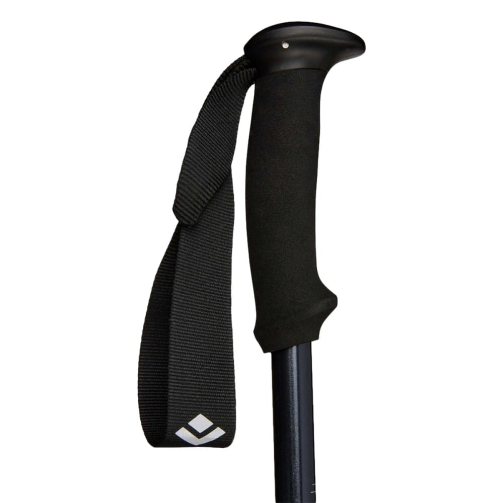 Black Diamond Unisex Explorer2 Trekking Poles Hiking Poles in Blue Color