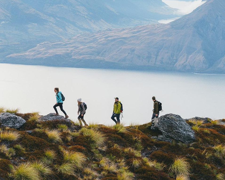Four hikers traverse a rocky grassy ridge overlooking a large lake and layered mountain ranges under a pale sky.