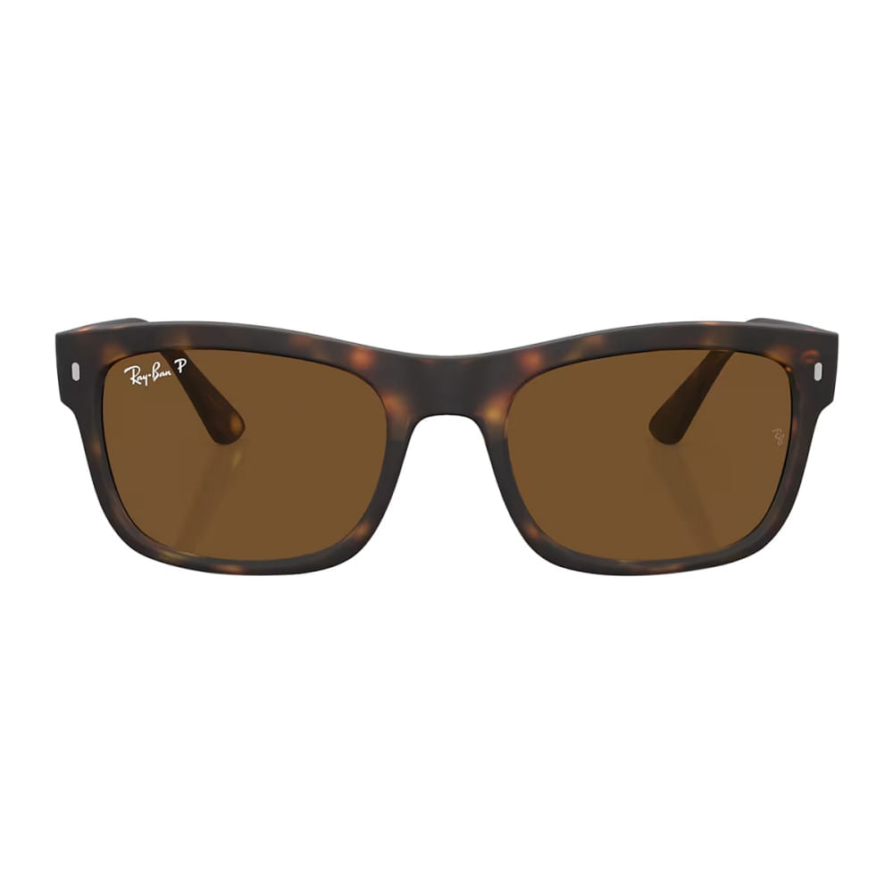 Ray Ban Unisex Square Matte Havana Accessories in Brown Color