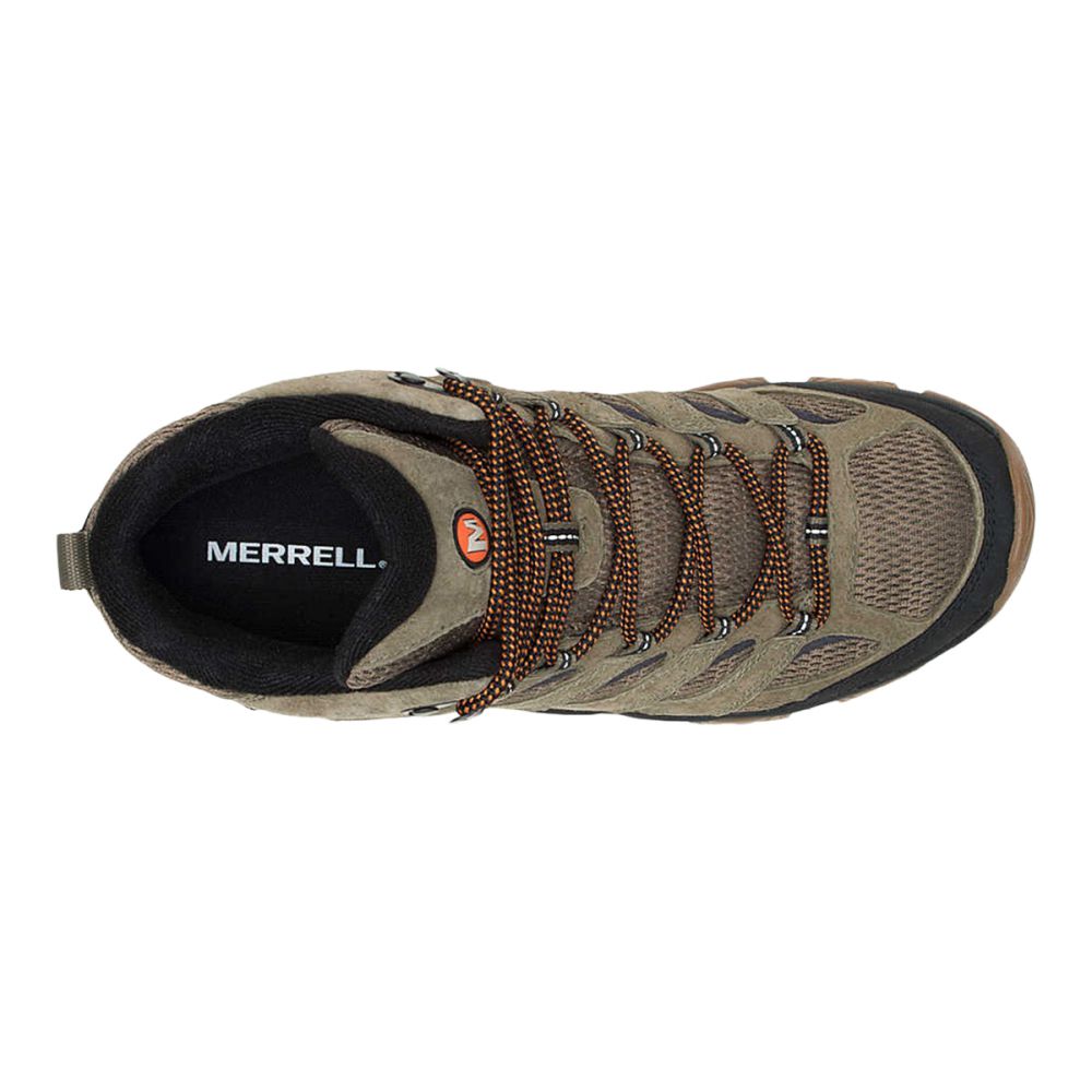 MOAB 3 MID WP | OLIVE/GUM