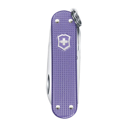 CLASSIC SD PRECIOUS ALOX | 223G PURPL