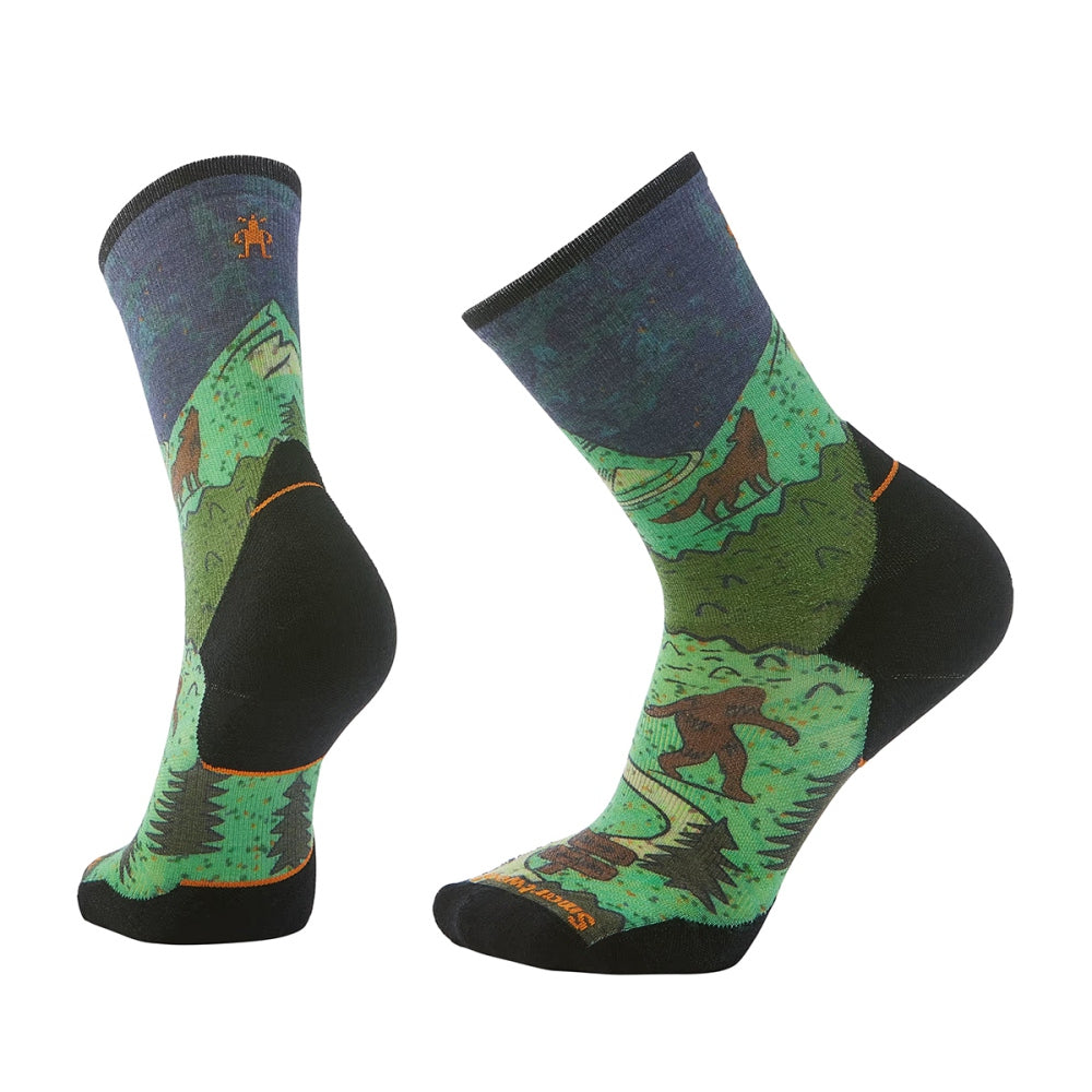 Smartwool Unisex Trail Run Targeted Cushi Socks in Blue Color