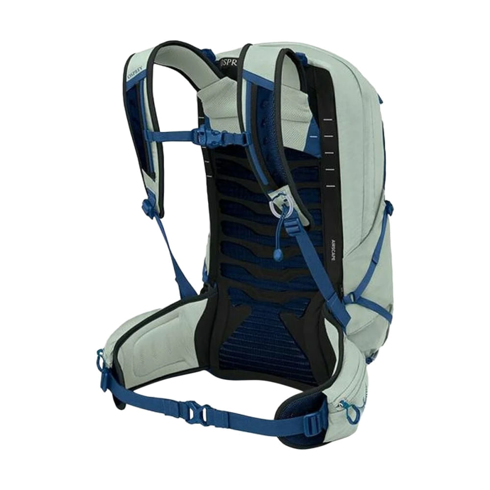TALON 22 PACK | FROSTY MIN