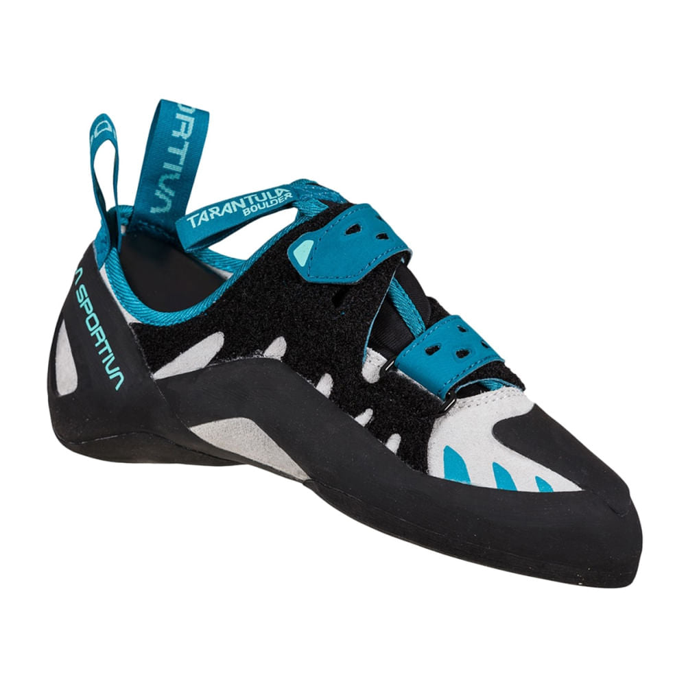 TARANTULA BOULDER | 001635 ICE