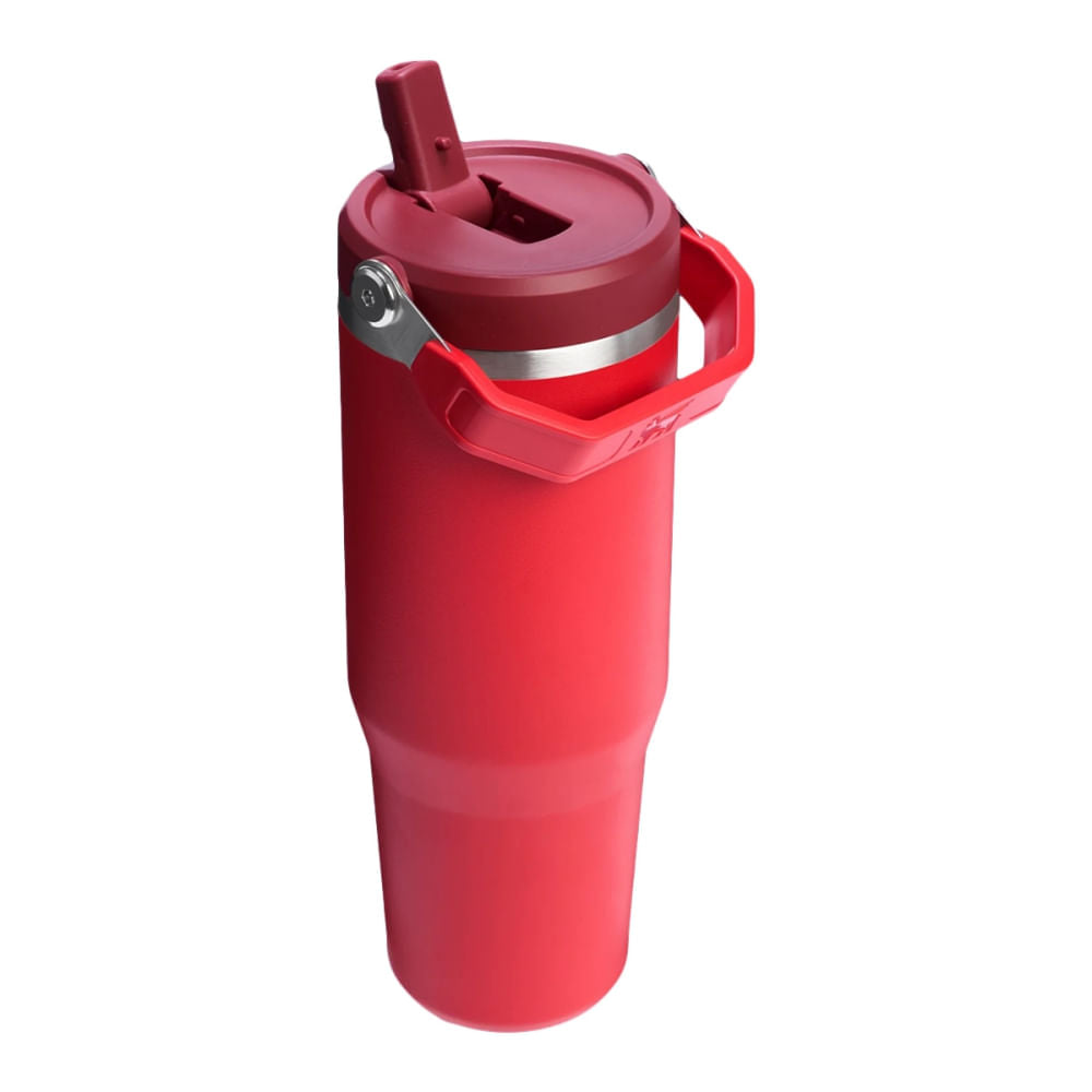30OZ ICEFLW FLPSTRW 2.0 | 042-CHILI
