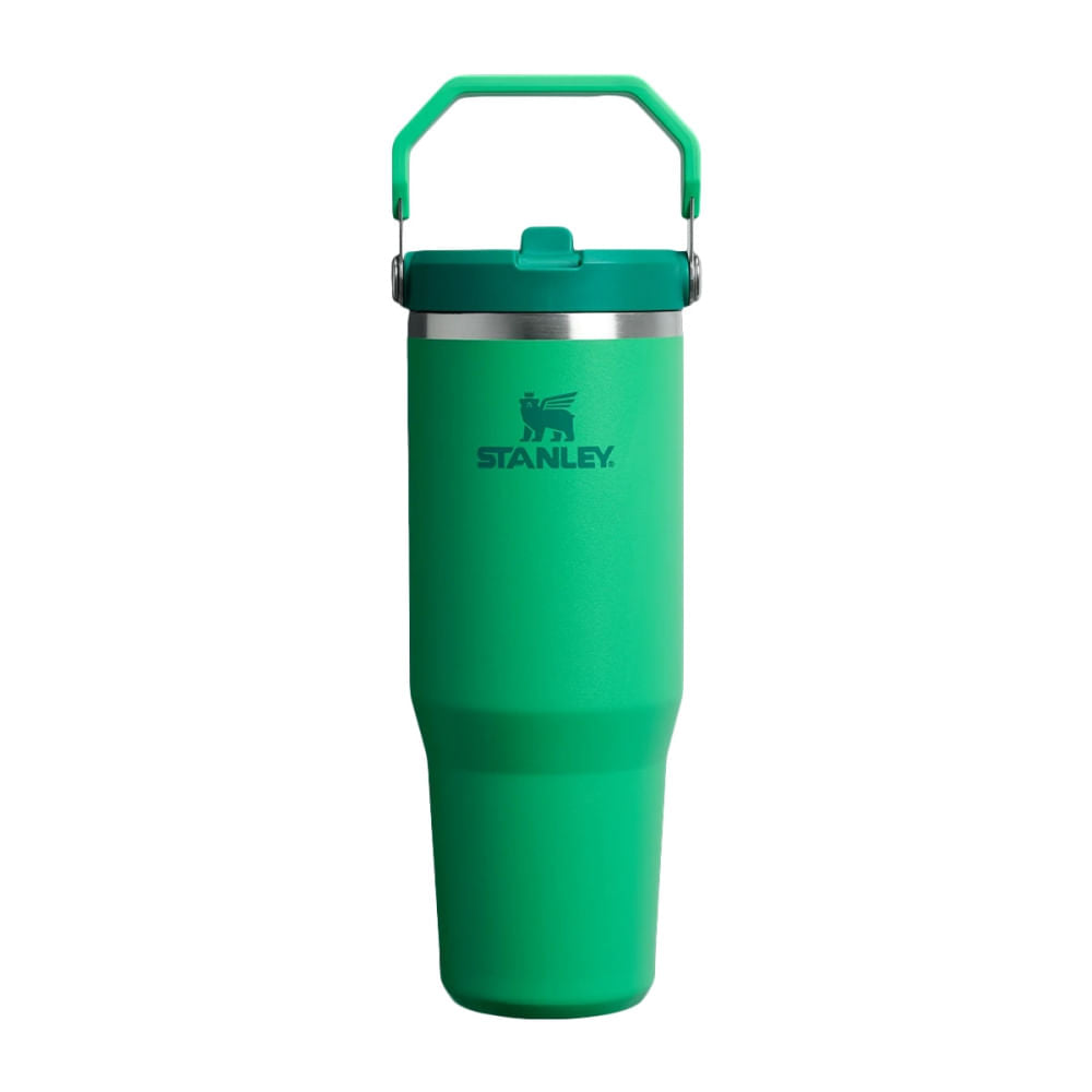 30OZ ICEFLW FLPSTRW 2.0 | 043-MEADOW
