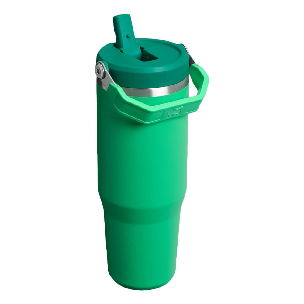 30OZ ICEFLW FLPSTRW 2.0 | 043-MEADOW