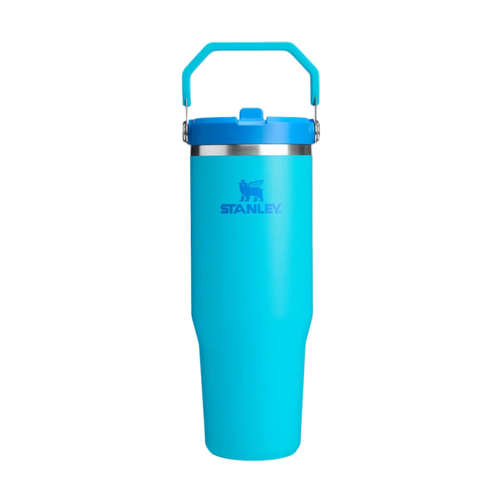 30OZ ICEFLW FLPSTRW 2.0 | 046-SPLASH