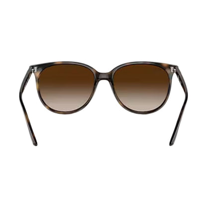 Ray Ban Womens Cats Eye Tort Havana Accessories in Brown Color