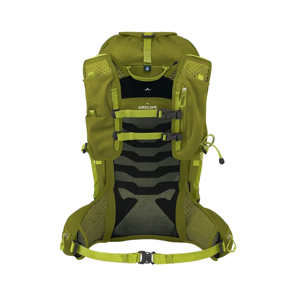 TALON VELOCITY 30 | MATCHA GRE