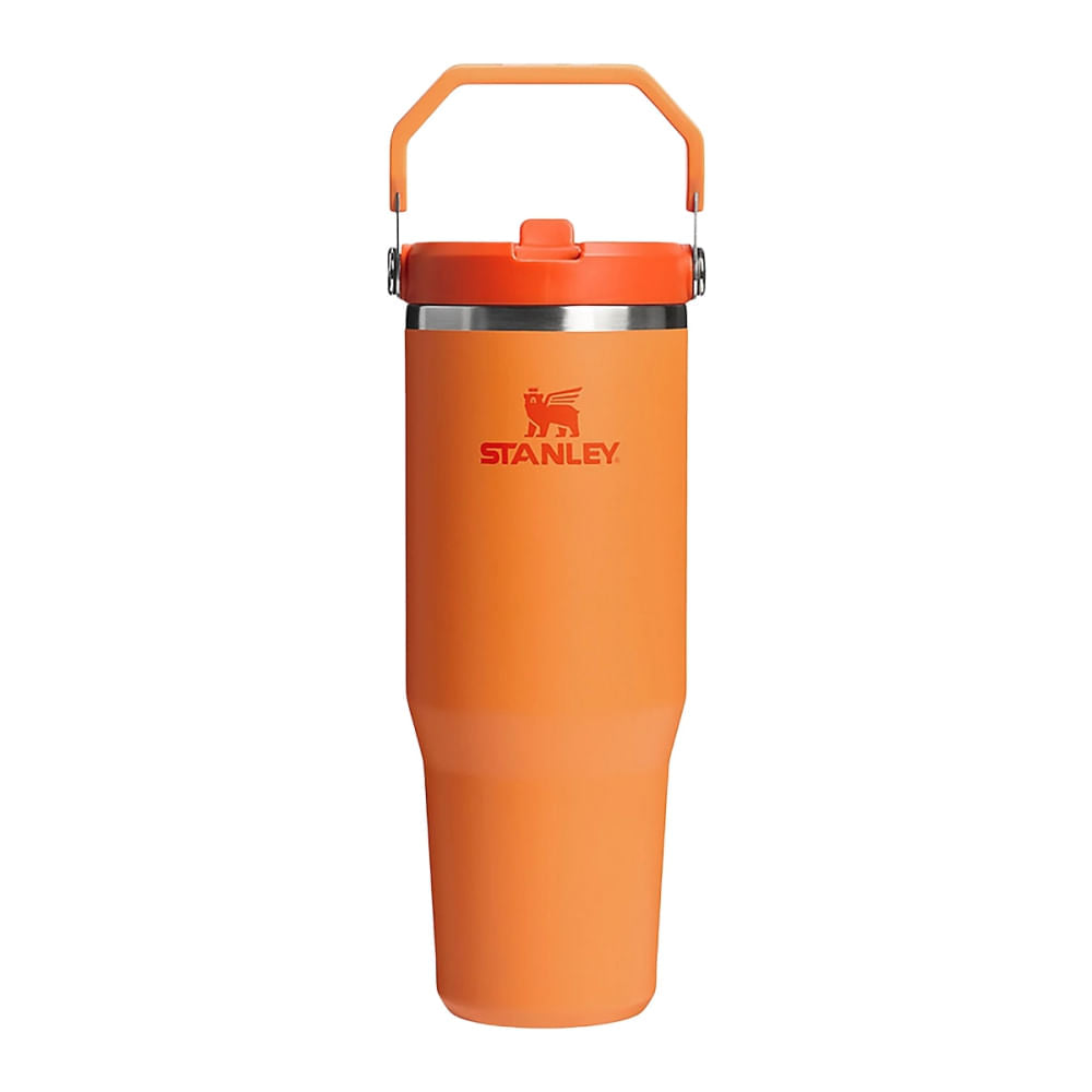 ICEFLOW 2.0 FLPSTR 30OZ | 007-GOLDEN