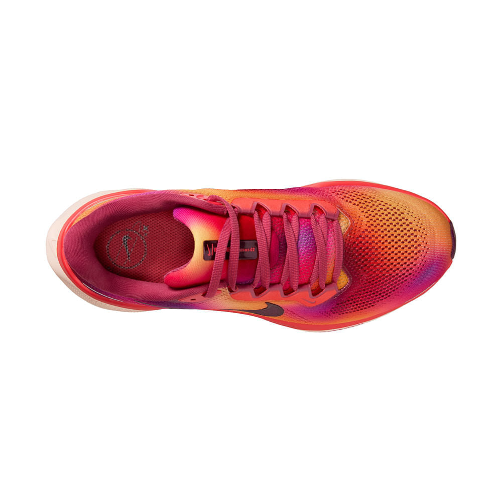 W PEGASUS 41 SE | 800-EMBER