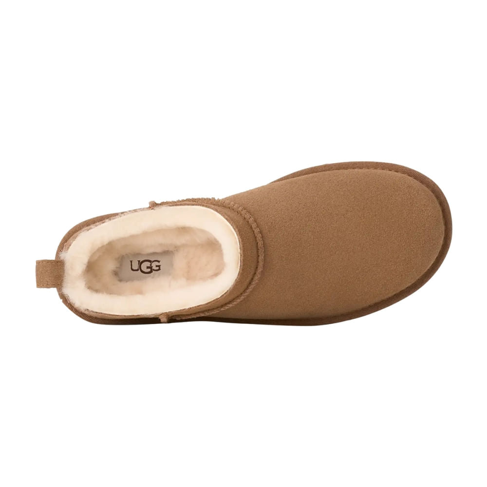 W CLASSIC MICRO | CHE CHESTN