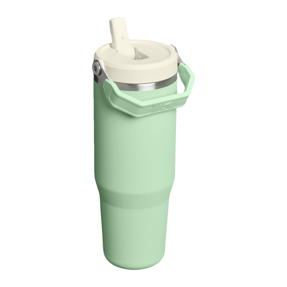 ICEFLOW 2.0 FLPSTR 30OZ | 012-PISTAC